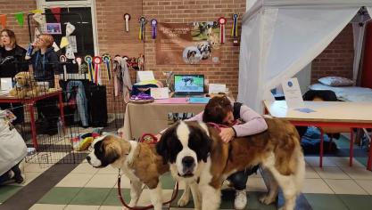 Vos compagnons à quatre pattes sont les bienvenus à ce salon pensé pour eux.