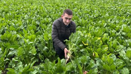 Louis Lacheré est exploitant agricole et membre du syndicat des Jeunes Agriculteurs à Nouvelle-Église.