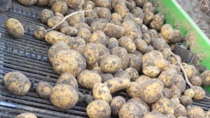 Le feu s’est déclaré dans un déterreur de pommes de terre.