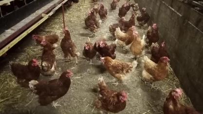 Une enquête publique va s’ouvrir en mairie de West-Cappel à partir du 23 octobre.