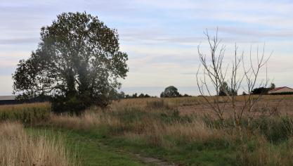 Ce terrain de 2,5 hectares que la ville va vendre à un promoteur devra subir une dépollution pyrotechnique.