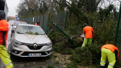 L’arbre s’est effondré sur deux voitures et les grilles de la zone industrielle des dunes.