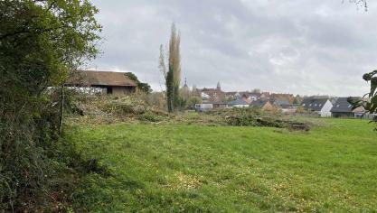 Des riverains se sont étonnés de voir de nombreux arbres abattus derrière chez eux par un habitant.
