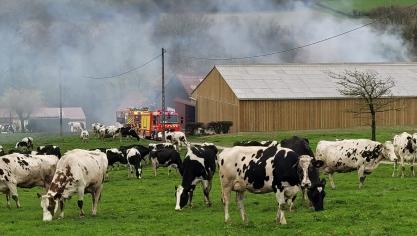 L’incendie s’est déclaré au sein de l’exploitation agricole du maire.