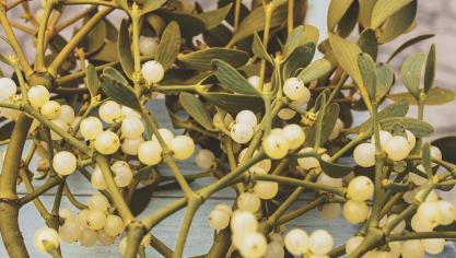 Tous les sites naturels ne possèdent pas la même réglementation pour la récolte.