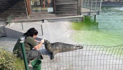 Découvrez comment fêter un Noël écoresponsable à Bio-Topia.