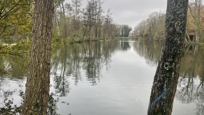 Grâce à des travaux de restauration écologique, les berges des étangs du Chevalier font peau neuve.