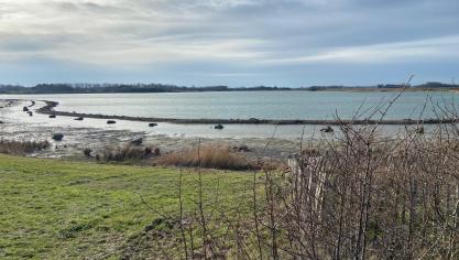 Le nouveau sentier de la Gravière serpente autour d’un vaste plan d’eau, à deux pas du Platier d’Oye.