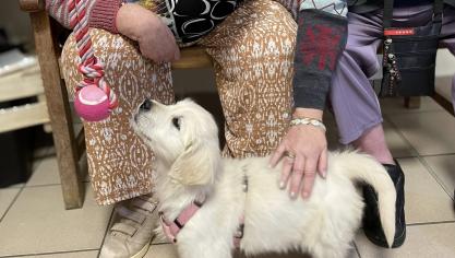 Cela fait désormais un mois que les résidents peuvent bénéficier de la compagnie de Nala durant la journée.