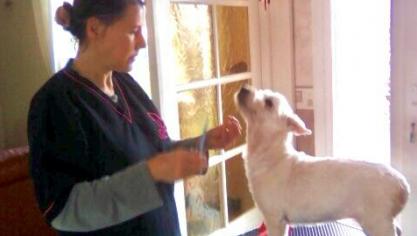 Hélène et sa sœur Catherine sont toiletteuses à domicile.