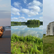 Les sorties se dérouleront dans l’ensemble des espaces que gère Eden 62.