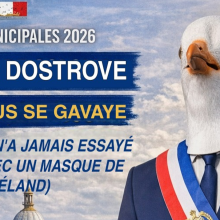 Un faux candidat à tête de goéland détourne les codes de la campagne municipale et fait sourire les réseaux sociaux.