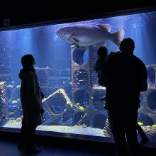 Une initiative qui permet de valoriser le savoir-faire local.