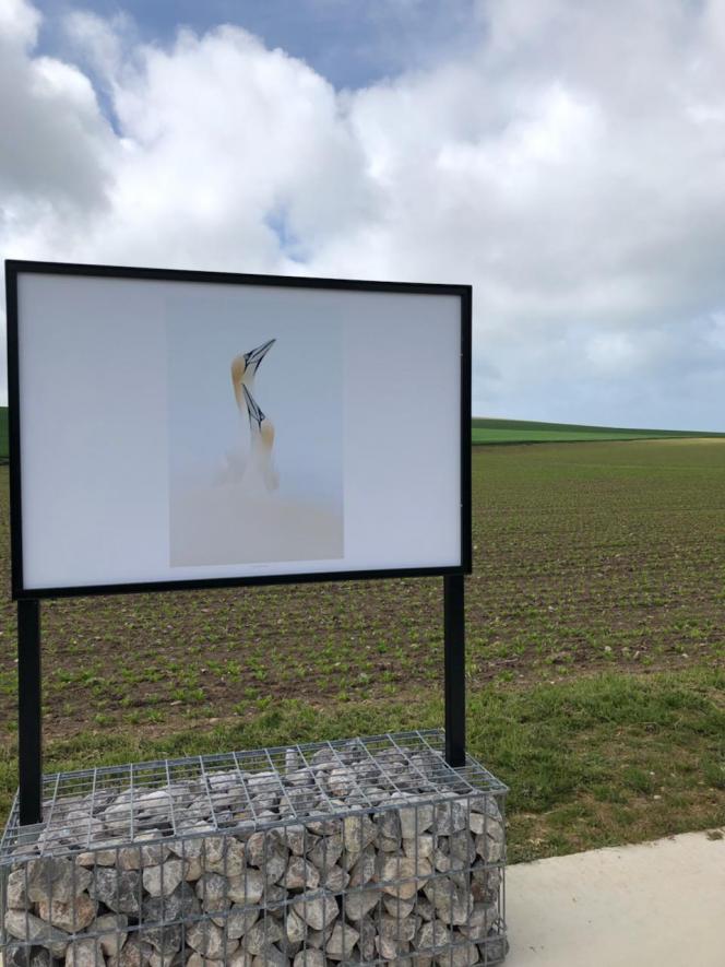 Dans un cadre naturel, découvrez les expositions et votez pour votre photo favorite.