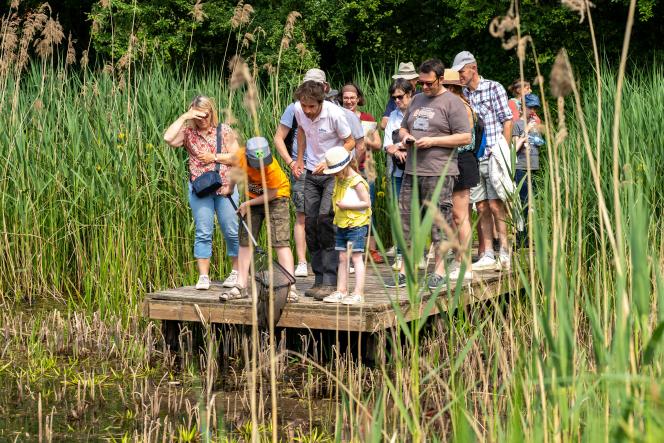 Savez-vous vraiment distinguer une plante toxique d’une plante comestible ? Pour le savoir : rendez-vous à Bailleul les 10 et 31 août. Photo : Christophe Blondel du CBN