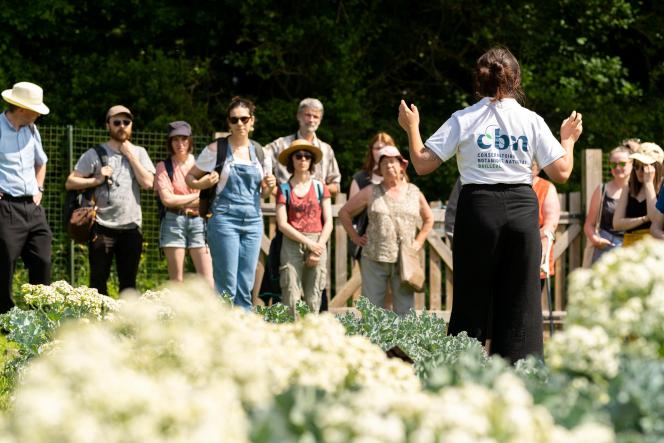 Parmi les trésors du conservatoire se trouve une banque de semences de plus de 33 millions de graines... Photo : Christophe Blondel, CBN.