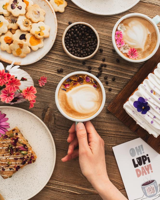 L’acidité du café vous irrite ? On vous l’a déconseillé car il est trop irritant ? Le café de lupin est une alternative au traditionnel café que bon nombre de consommateurs ont très vite adoptée. Photo : Nina Cleton.