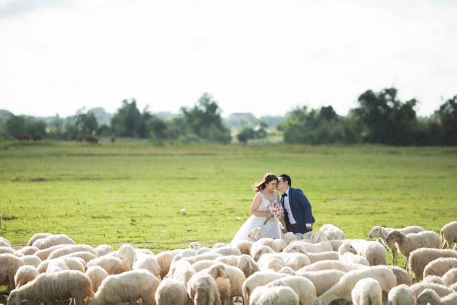 L’amour se trouve peut-être dans les champs du Nord-Pas-de-Calais.